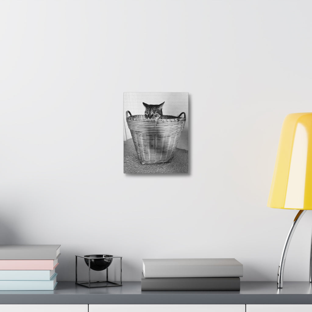 Basket Case — Canvas Print 8x10