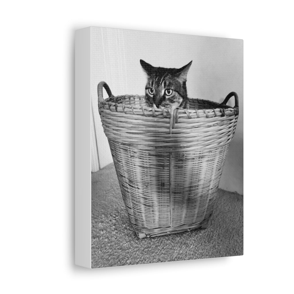 Basket Case — Canvas Print 8x10
