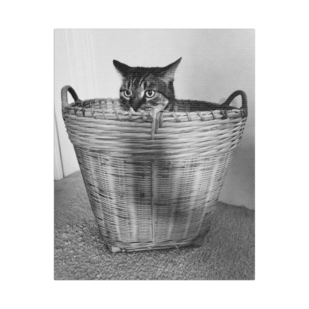 Basket Case — Canvas Print 8x10