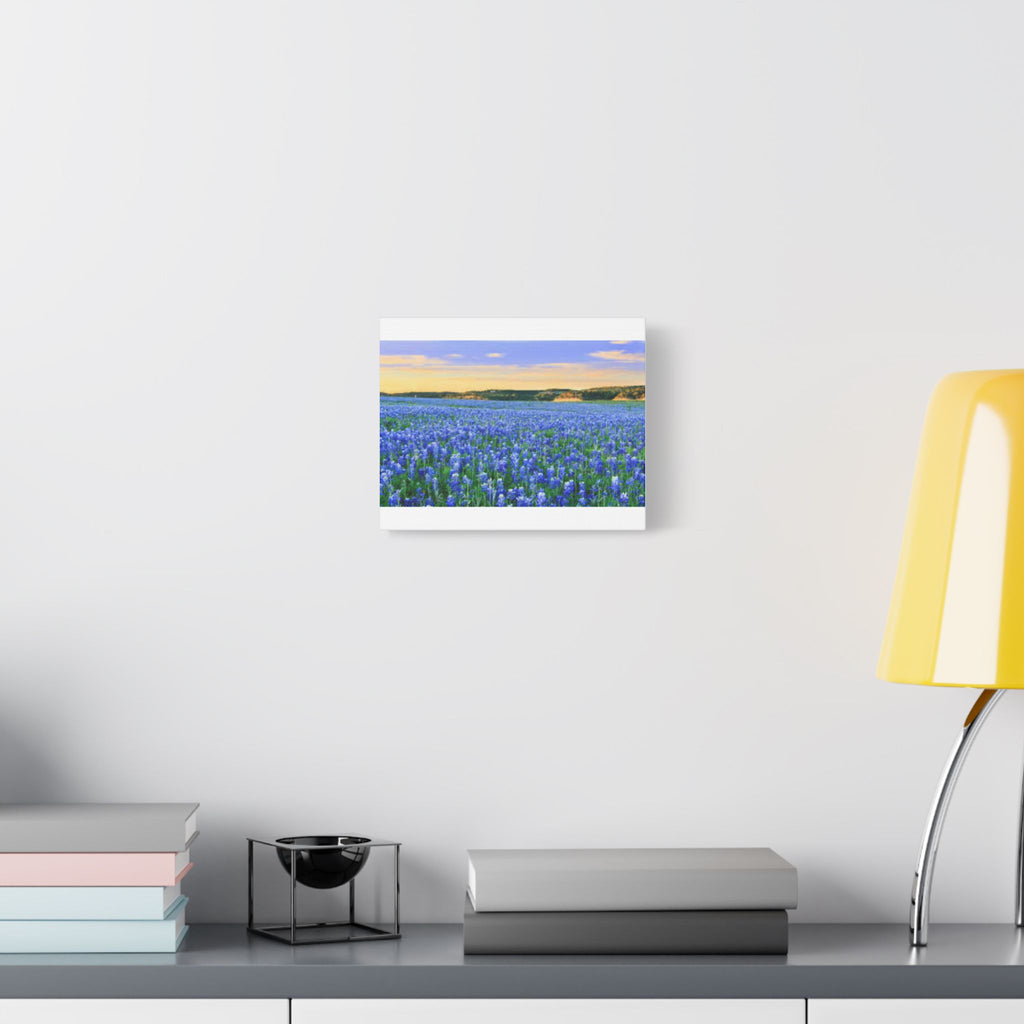Bluebonnet Sea — Canvas Print 10x8