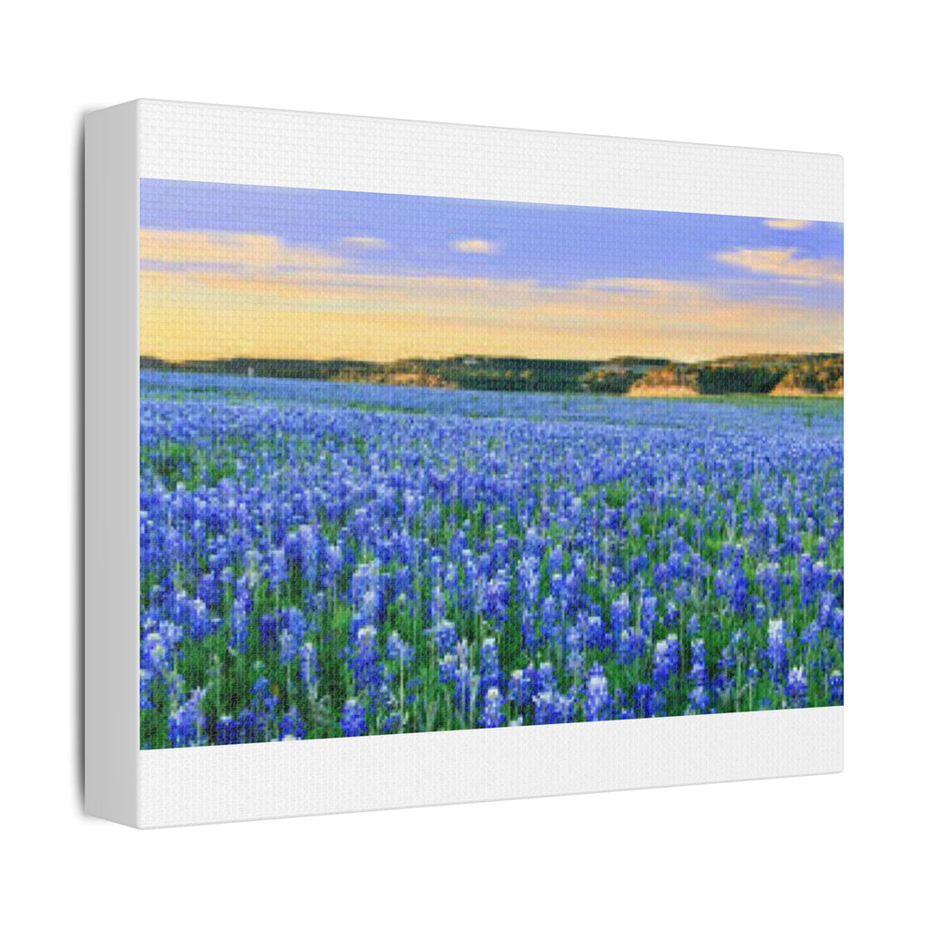 Bluebonnet Sea — Canvas Print 10x8