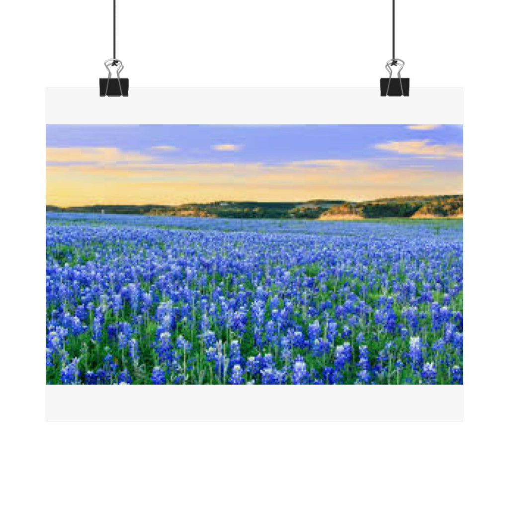 Bluebonnet Sea — 10x8 Photography Print