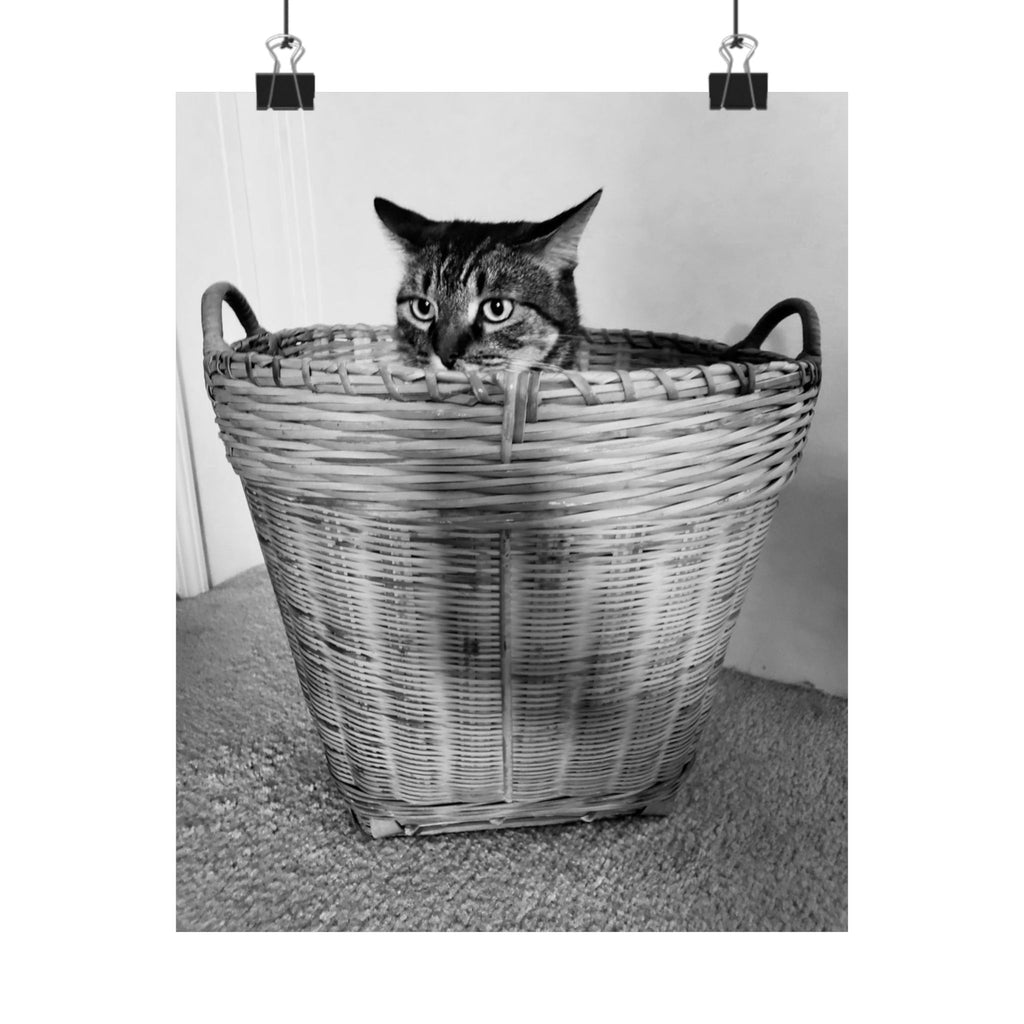 Basket Case — 8x10 Photography Print