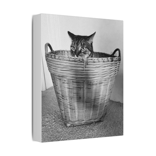 Basket Case — Canvas Print 8x10