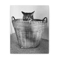 Basket Case — Canvas Print 8x10