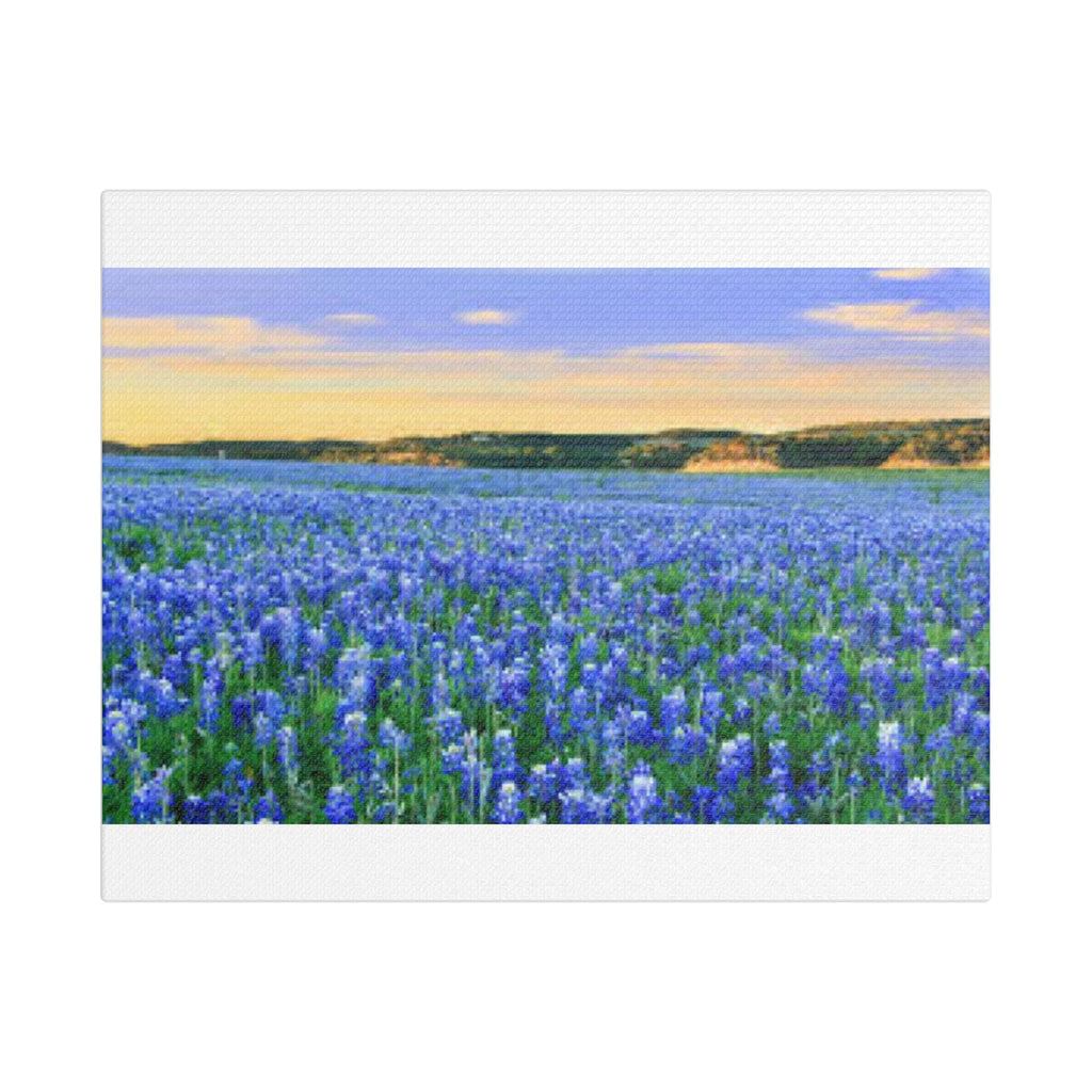 Bluebonnet Sea — Canvas Print 10x8