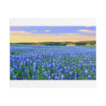 Bluebonnet Sea — Canvas Print 10x8